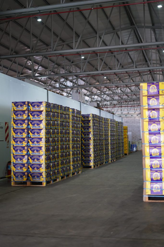 Cámara de conservación con cajas de fruta en Holowiniec Hermanos