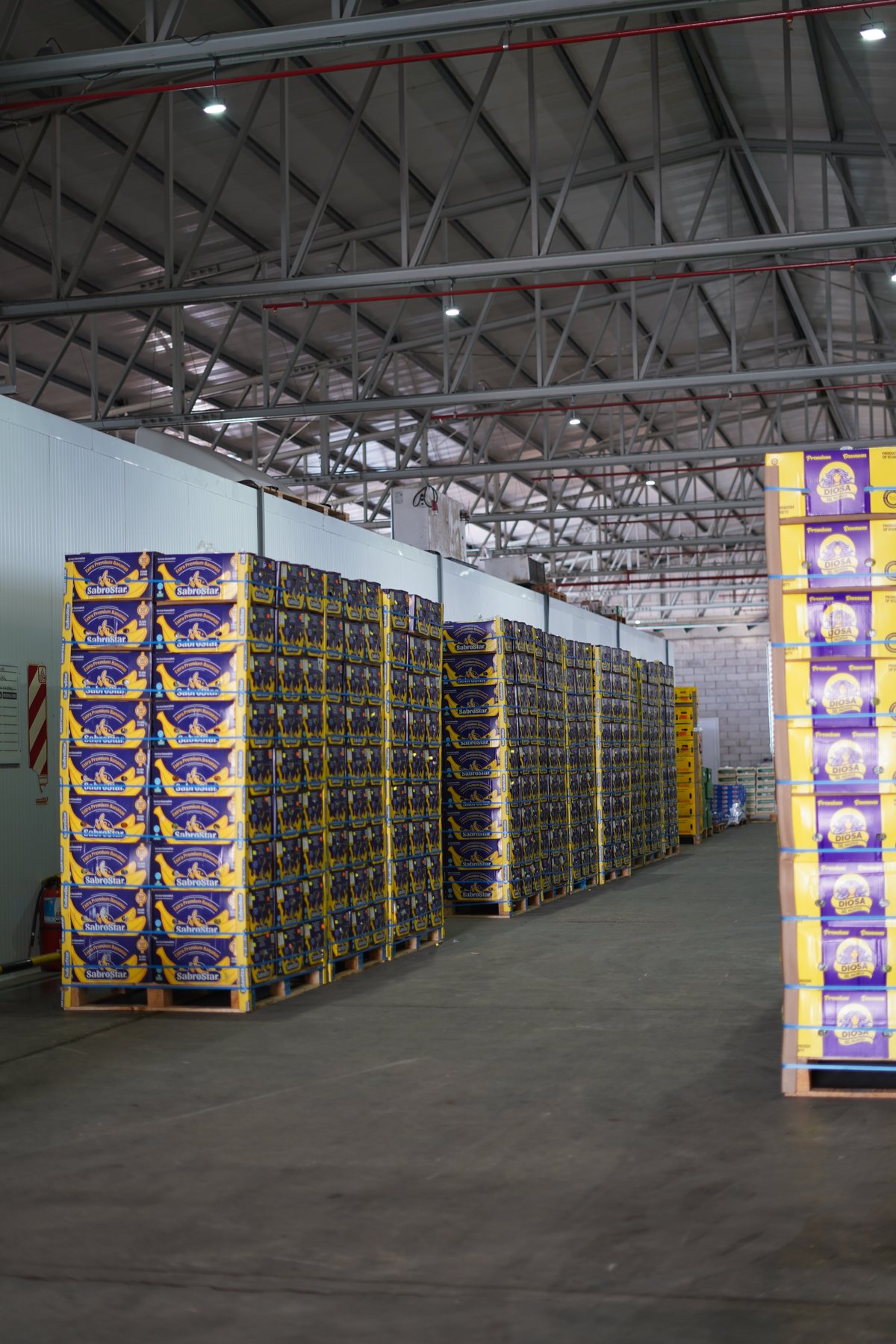 Galpón de frutas y verduras de Holowiniec Hermanos en Bahía Blanca