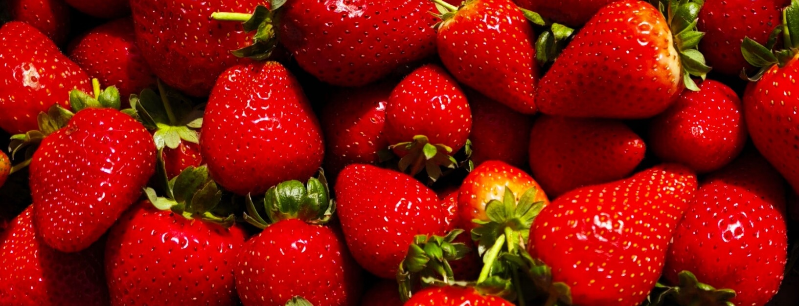 banner-frutillas