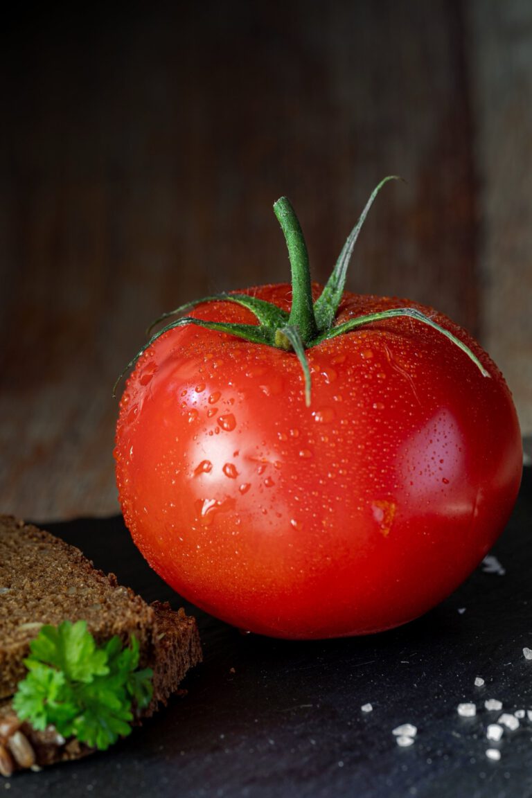 Tomate redondo fresco en primer plano